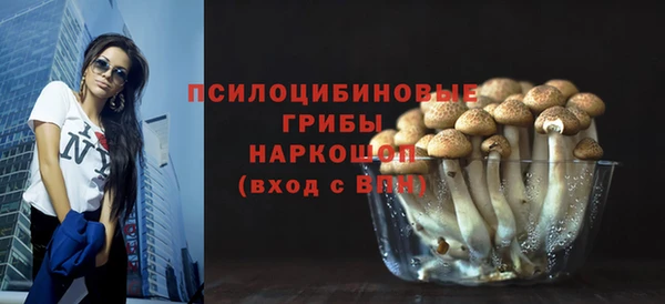 дживик Алексин
