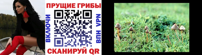 Галлюциногенные грибы мицелий  Люберцы 